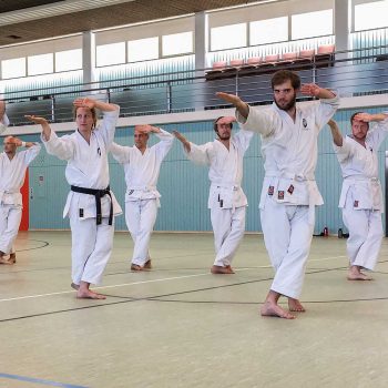 Mehrere Personen beim Üben einer Karate Kata beim Seminar mit Olaf Krey in Fulda.