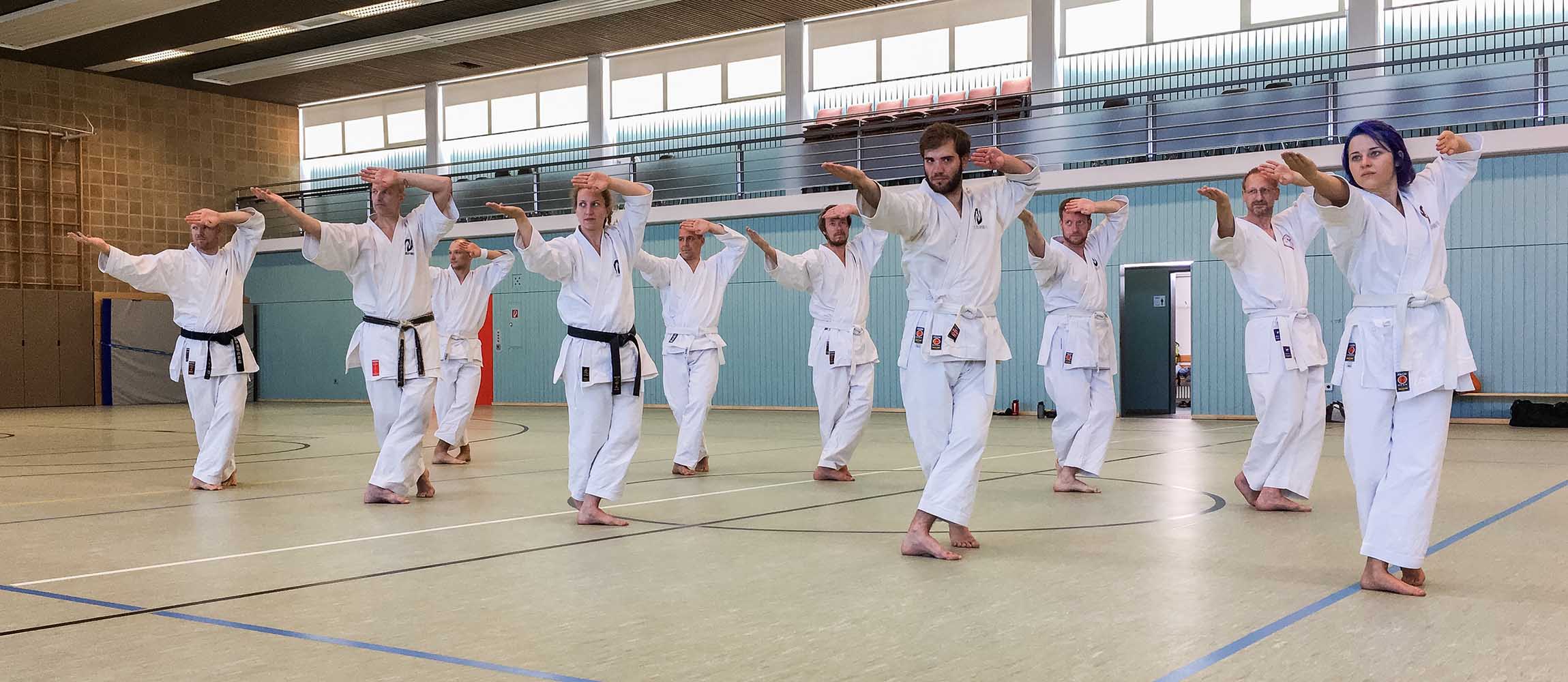 Mehrere Personen beim Üben einer Karate Kata beim Seminar mit Olaf Krey in Fulda.