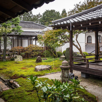 Ein Garten mit Moos in einem japanischen Zen Tempel.