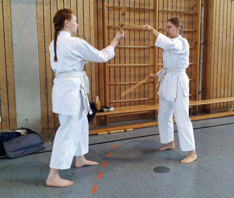 karate fulda kampfsport training sport selbstverteidigung kampfkunst verein
